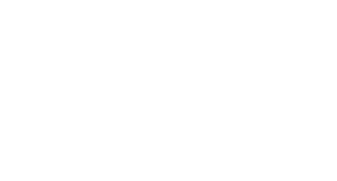 IBM Platinum Business Partner